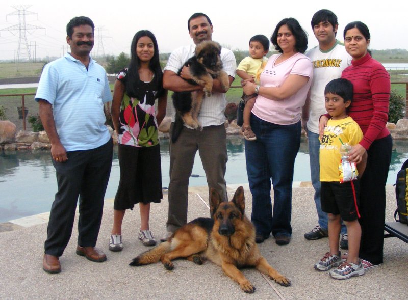 Jampala Family Mason and Tara male puppy 2009