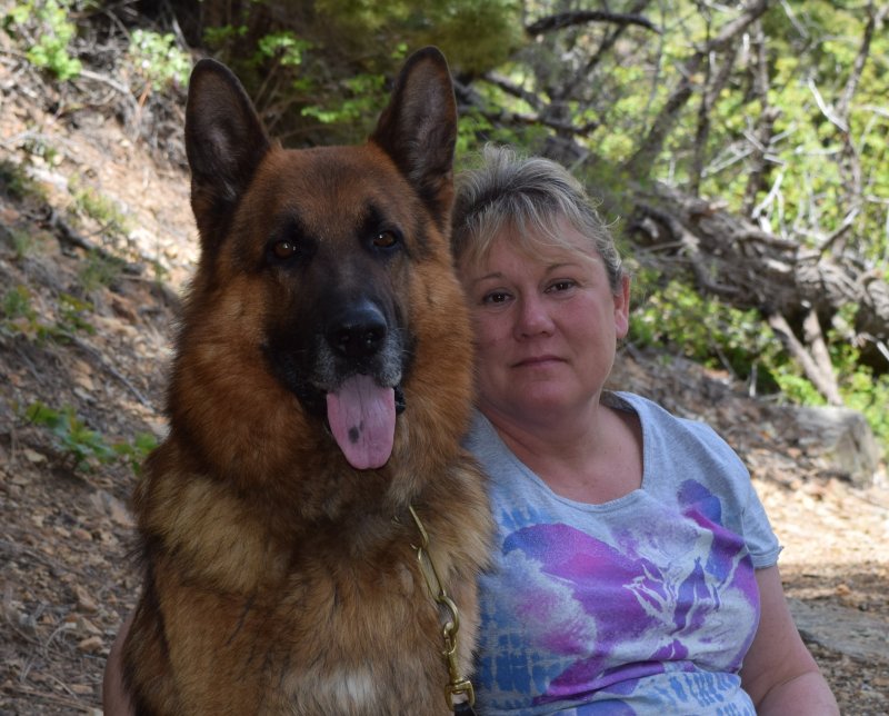V Hagen vom Deutshcen Eck one of our german shepherd studs with Tia Otto in New Mexico on vacation!