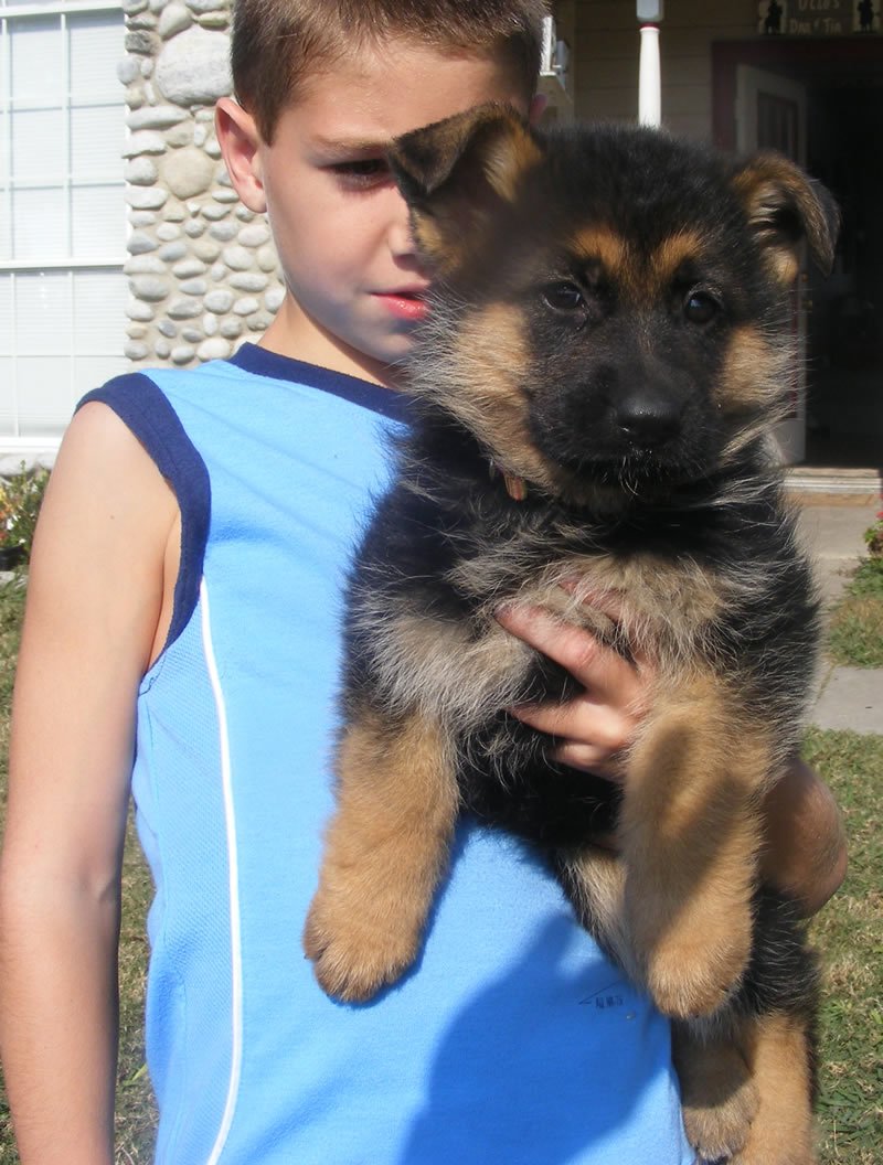 Chance, my grandson with one of Daffi puppies in 2007