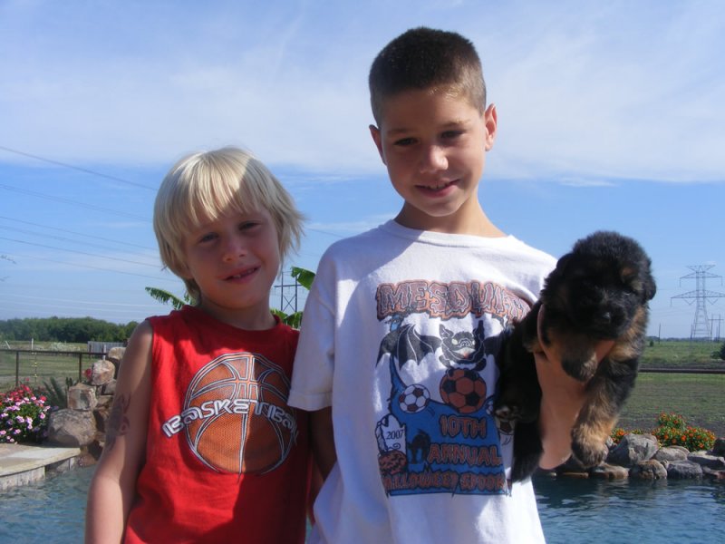 Chance and Tanner, my grandsons with one of Daffi puppies in 2007