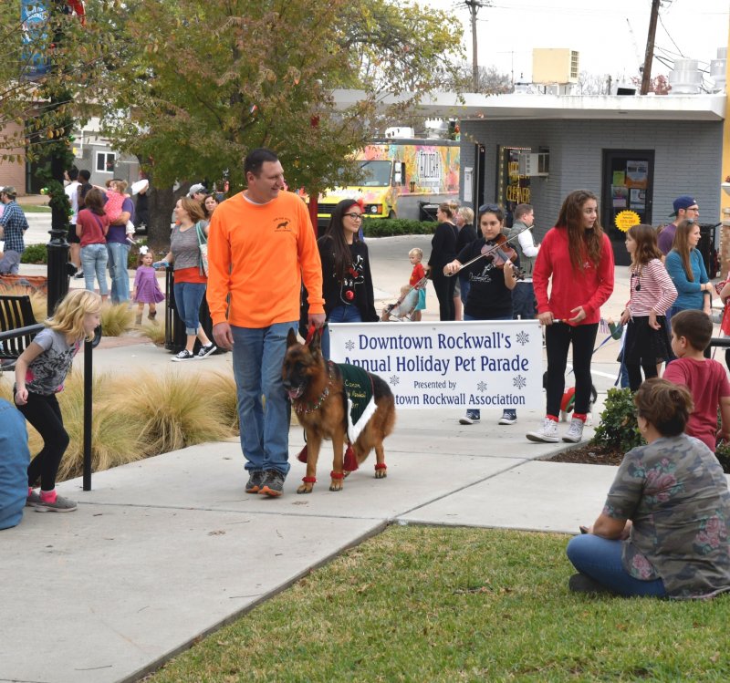 V Canon vom Heralmaborg with Dan Otto leading the 2017 Rockwall Pet Parade as Grand Marshall 12-02-17